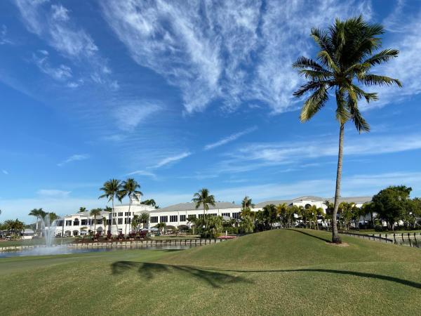 Dover At Wycliffe, 10091 Dover Carriage Ln, Lake Worth, Florida 33449, image 3