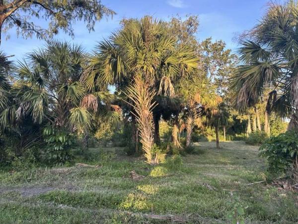 Loxahatchee Groves, 14439 Collecting Canal Rd, Loxahatchee, Florida 33470, image 2