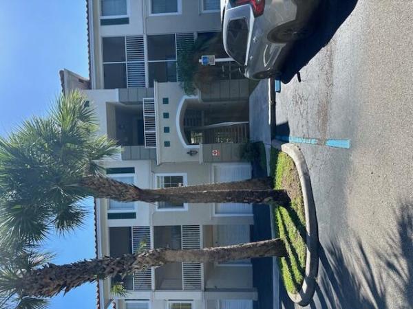 The Palms Point, 11787 W Atlantic Blvd #321, Coral Springs, Florida 33071, image 1