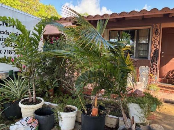 Mangrove Walk, 617 NE 8th Ave, Boynton Beach, Florida 33435, image 1