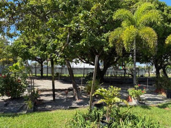 Mangrove Walk, 617 NE 8th Ave, Boynton Beach, Florida 33435, image 2