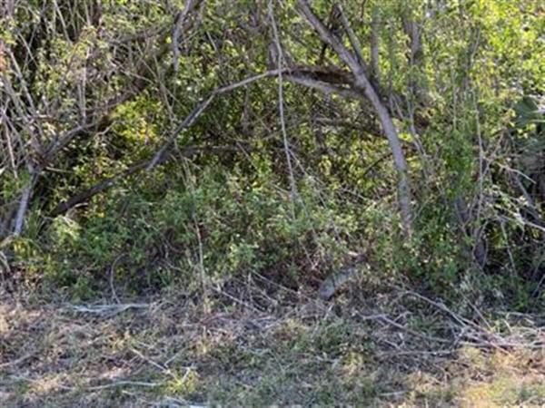 3965 SW Mccain St, Port St. Lucie, Florida 34953, image 1
