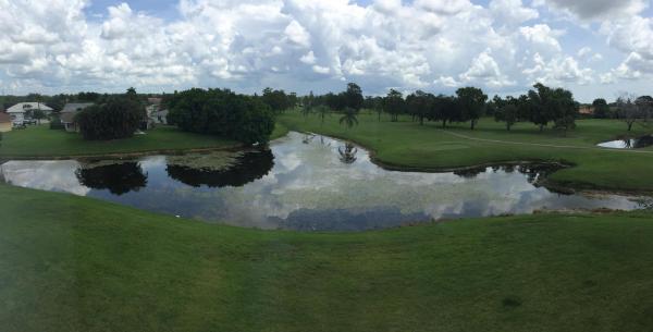 Arissa Place, 2040 Greenview Shores Blvd 221, Wellington, Florida 33414, image 1