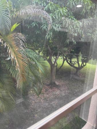 101 Windsor E, West Palm Beach, Florida 33417, image 1