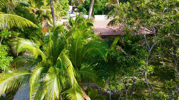 Plumosa Park, 1501 NE 3rd Ave, Delray Beach, Florida 33444, image 2