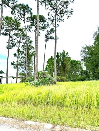 Pine Hollow, 10615 Sugar Pine Dr, Fort Pierce, Florida 34945, image 1