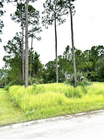 Pine Hollow, 10615 Sugar Pine Dr, Fort Pierce, Florida 34945, image 3