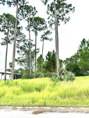 Pine Hollow, 10615 Sugar Pine Dr, Fort Pierce, Florida 34945, image 1
