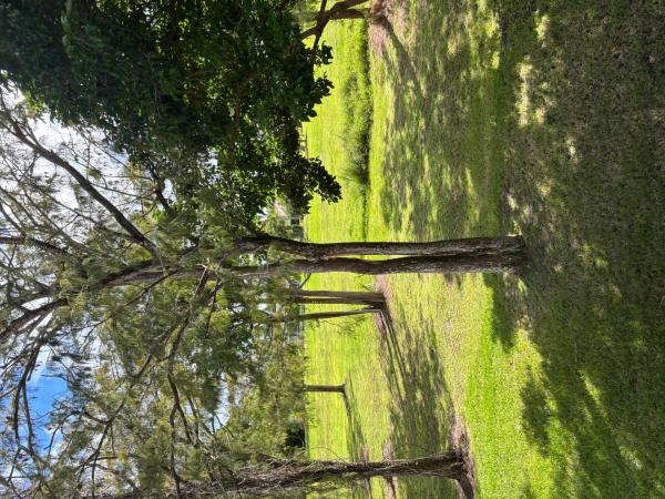 The Pines Of Boca Lago, 9266 Vista Del Lago, Boca Raton, Florida 33428, image 3