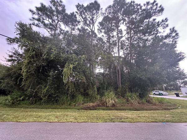 Oak Hammock, 1874 SW Lennox St, Port St. Lucie, Florida 34953, image 1