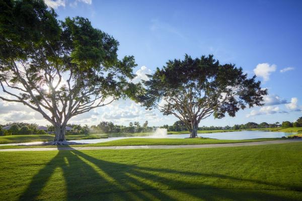 Ibis Lakes, 8784 Lakes Blvd, West Palm Beach, Florida 33412, image 1
