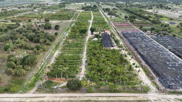 Santa Rosa Groves, Bedu Ct, Loxahatchee, Florida 33470, image 1