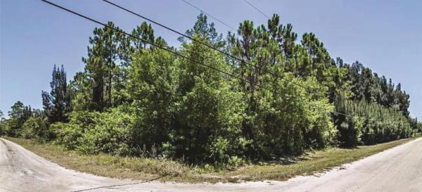 Wind In The Pines, West Palm Beach, Florida 33418, image 1