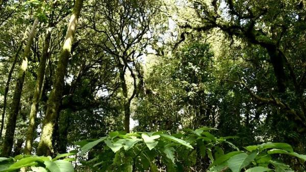 Torino, 5657 NW Whitecap Rd, Port St. Lucie, Florida 34953, image 1