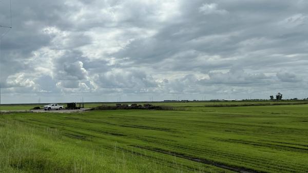 400 State Road 80, Belle Glade, Florida 33430, image 2