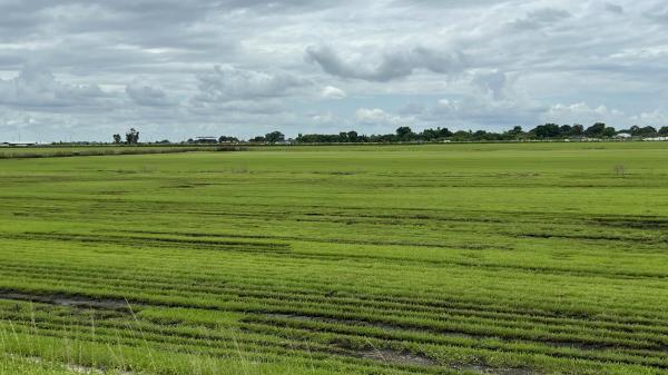 400 State Road 80, Belle Glade, Florida 33430, image 1