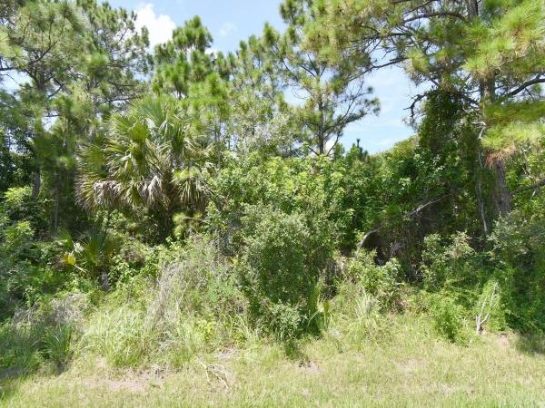 Hidden Oaks, 1302 SW Abingdon Ave, Port St. Lucie, Florida 34953, image 1