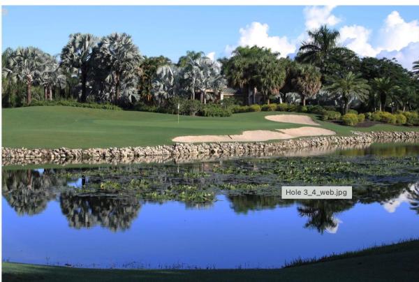 Boca Grove Plantation, 7207 Valencia Dr, Boca Raton, Florida 33433, image 1