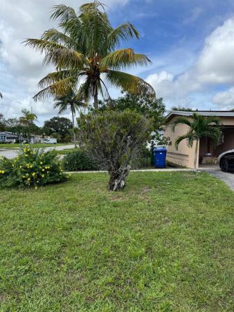 Flair, 4701 NW 11th Ct, Lauderhill, Florida 33313, image 1
