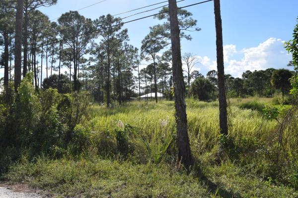 Fort Pierce No HOA, 0 Tree Top Trail, Fort Pierce, Florida 34951, image 2