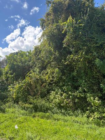 2220 SE Glover St, Port St. Lucie, Florida 34984, image 1