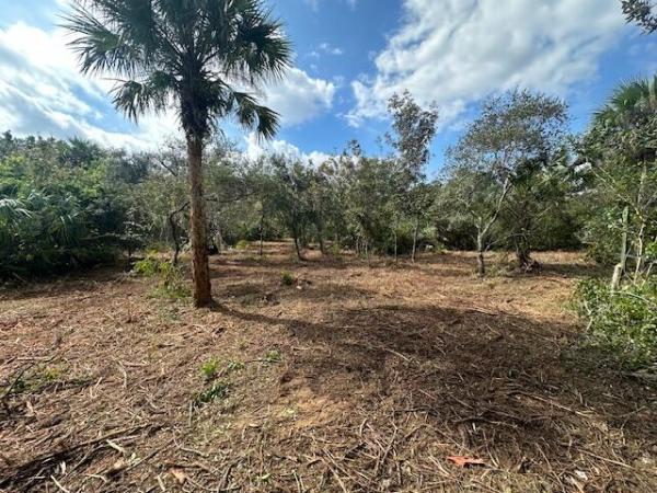0 Tbd, Fort Pierce, FL 34949, Fort Pierce, Florida 34949, image 3