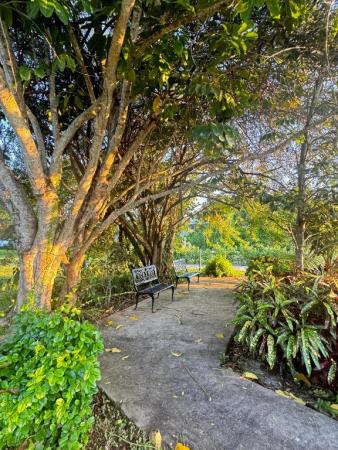 Sabal Pine, 2320 SW 22nd Ave #212, Delray Beach, Florida 33445, image 2