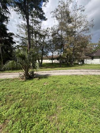 Loxahatchee Groves Residential, 1686 E Rd, Loxahatchee, Florida 33470, image 2
