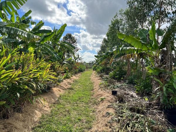 Santa Rosa Groves, 20915 Antoinette St, Loxahatchee, Florida 33470, image 1