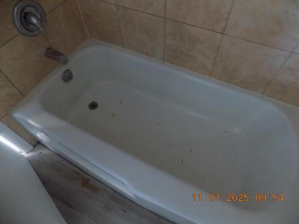 South Sea Islander, 231 E Lantana Rd #501, Lantana, Florida 33462, image 2