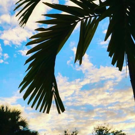 Delray Villas 4 & 5, 6078 Dusenburg Rd, Delray Beach, Florida 33484, image 1