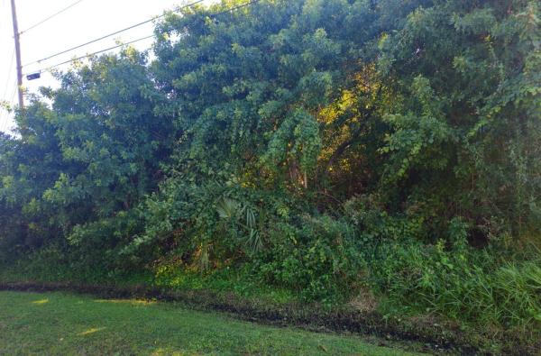 Torino, 5550 NW Lundy Cir, Port St. Lucie, Florida 34986, image 1