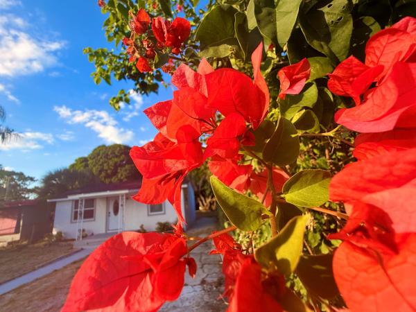 1093 Highview Rd, Lake Worth, Florida 33462, image 1