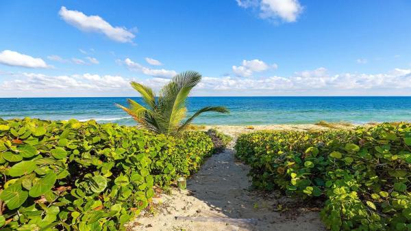 Boyntons, 5929 N Ocean Blvd, Ocean Ridge, Florida 33435, image 1