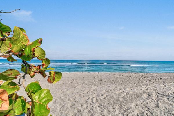 Surfside Park, 444 Zephyr Way #, Juno Beach, Florida 33408, image 3