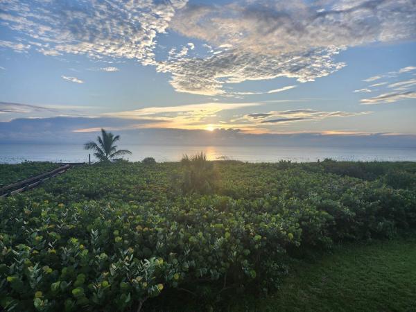 Hibiscus By The Sea, 3870 N Highway A1a #202, Fort Pierce, Florida 34949, image 1