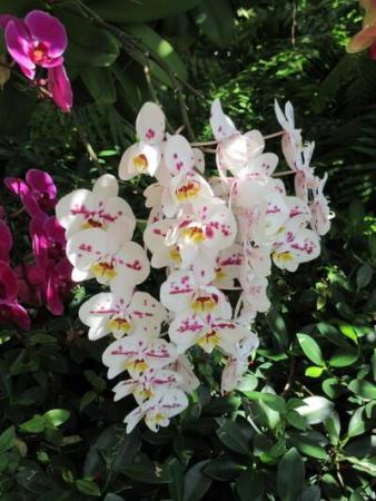 Seagate Of Gulfstream, 2018 S Federal Hwy #A301, Boynton Beach, Florida 33435, image 1