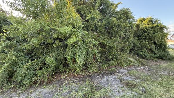 4462 SW Gainesboro St, Port St. Lucie, Florida 34953, image 1