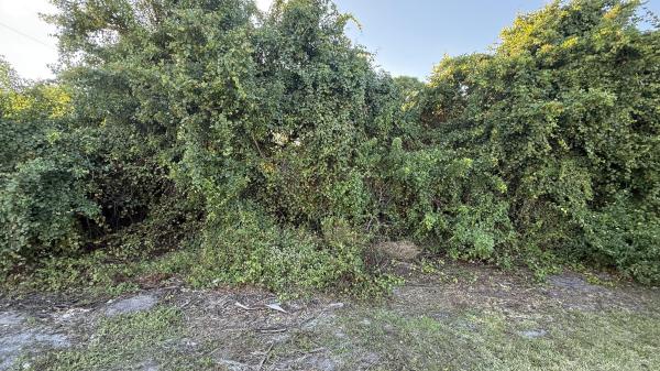 4462 SW Gainesboro St, Port St. Lucie, Florida 34953, image 2