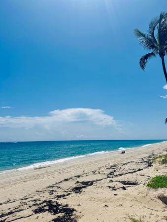 3490 S Ocean Blvd, Palm Beach, Florida 33480, image 1