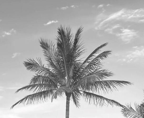 Lost Tree Village, 11465 Old Harbour Rd, North Palm Beach, Florida 33408, image 1