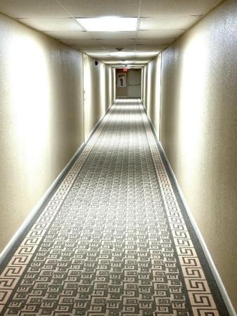 3540 S Ocean Blvd #409, Palm Beach, Florida 33480, image 1