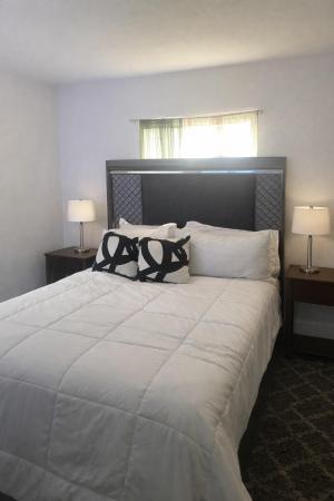 Mangonia Hills, 5702 Briarwood St, Mangonia Park, Florida 33407, image 1