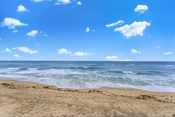 Dune Deck Of The Palm Beaches, 3610 S Ocean Blvd #610, Palm Beach, Florida 33480, image 1