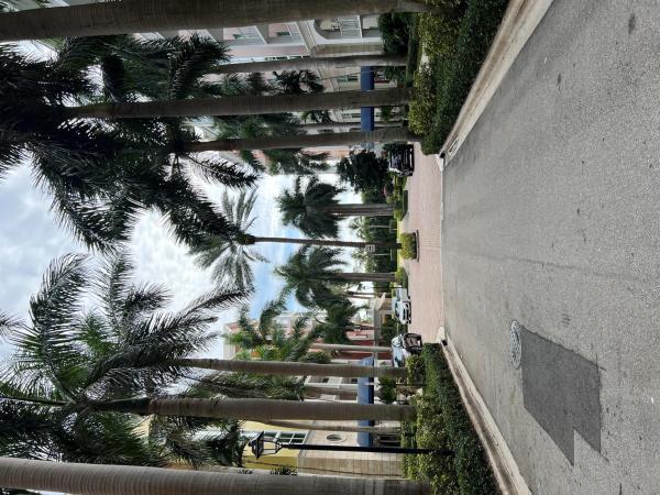 The Moorings At Lantana, 806 E Windward Way #216, Lantana, Florida 33462, image 1