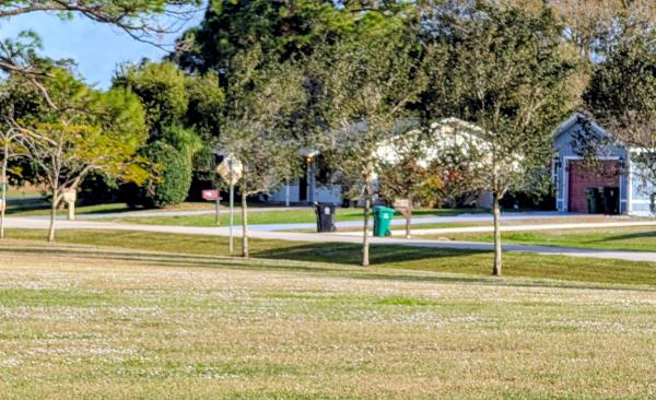 Northport Village, 522 NW La Brea Ave, Port St. Lucie, Florida 34983, image 3