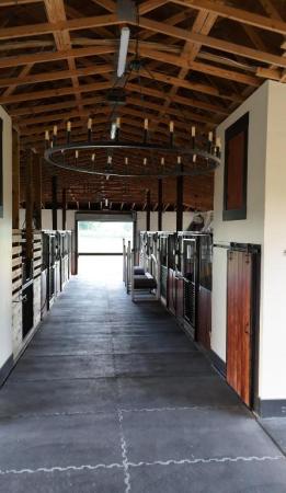 Rustic Ranches Estates, 2265 Cotton Tail Dr, Wellington, Florida 33470, image 1