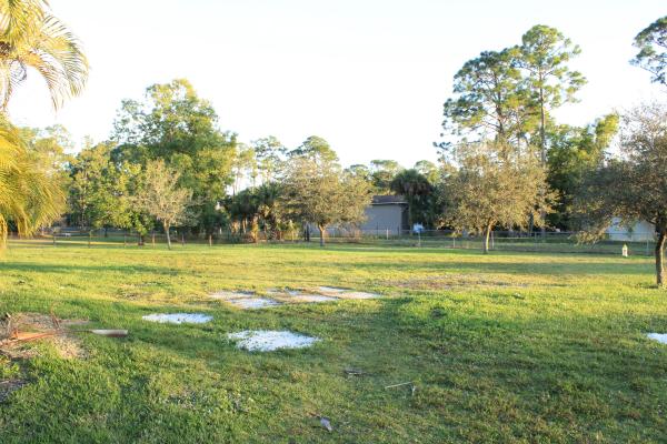 The Acreage, 11988 49th St N, West Palm Beach, Florida 33411, image 1