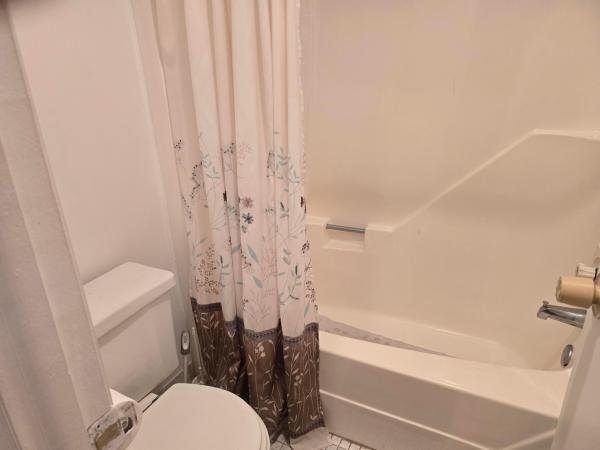 Golden Lakes Village, 132 Lake Dora Dr, West Palm Beach, Florida 33411, image 2