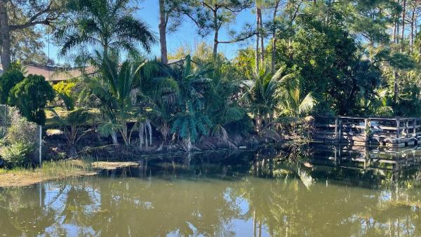Northport Village, 798 NW Selvitz Rd, Port St. Lucie, Florida 34983, image 2